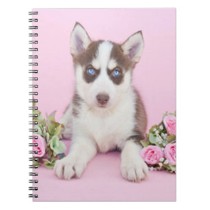 Beautiful Husky Puppy with Pink Roses Notizblock