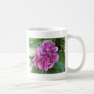 Beautiful Hydrangea Tasse