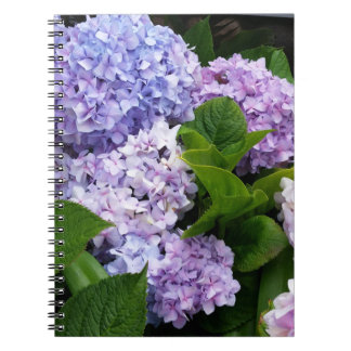 Beautiful Hydrangeas - Spiral Foto Notebook Notizblock