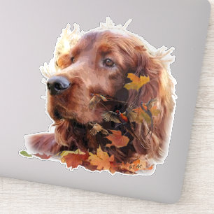Beautiful Irish Red Setter Aufkleber