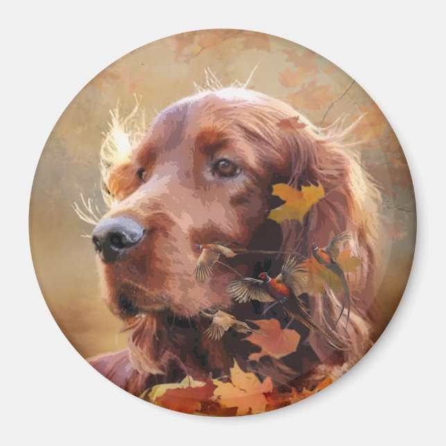 Beautiful Irish Red Setter Magnet (Vorne)