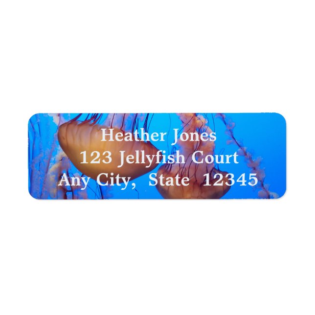 Beautiful Jellyfish Labels (Vorne)
