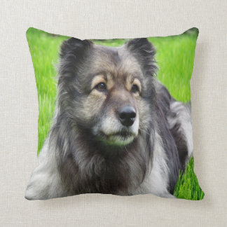 Beautiful Keeshond Kissen