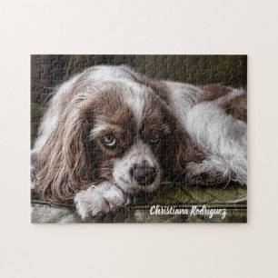 Beautiful King Charles Spaniel Puzzle