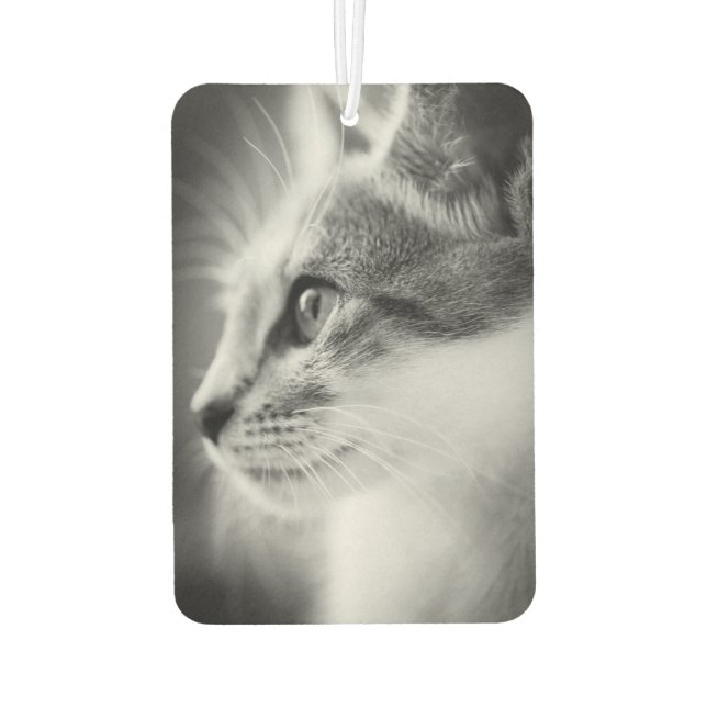 Beautiful Kitten Air Freshener Autolufterfrischer (Rückseite)