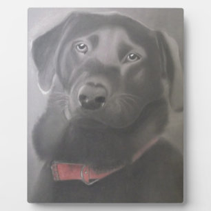 Beautiful Labrador Retriever Fotoplatte