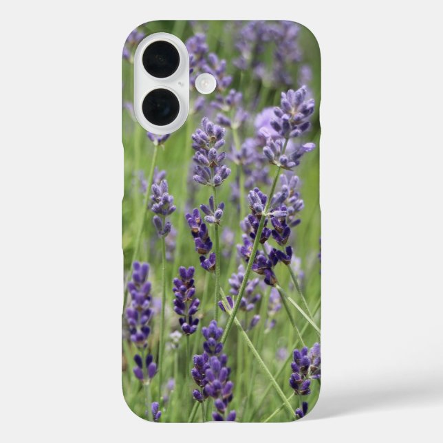 Beautiful Lavender Case-Mate iPhone Hülle (Rückseite)