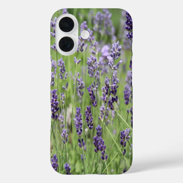 Beautiful Lavender Case-Mate iPhone Hülle (Rückseite)
