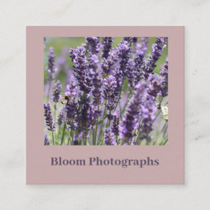 Beautiful Lavender Field Business Card Quadratische Visitenkarte