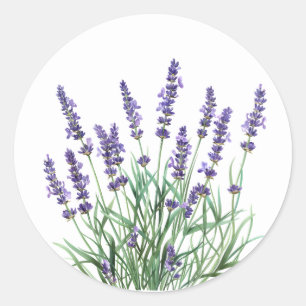 Beautiful Lavender Garden Blume Runder Aufkleber