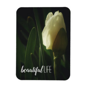 Beautiful Life Sprichwort Daffodil Fotografie Magnet