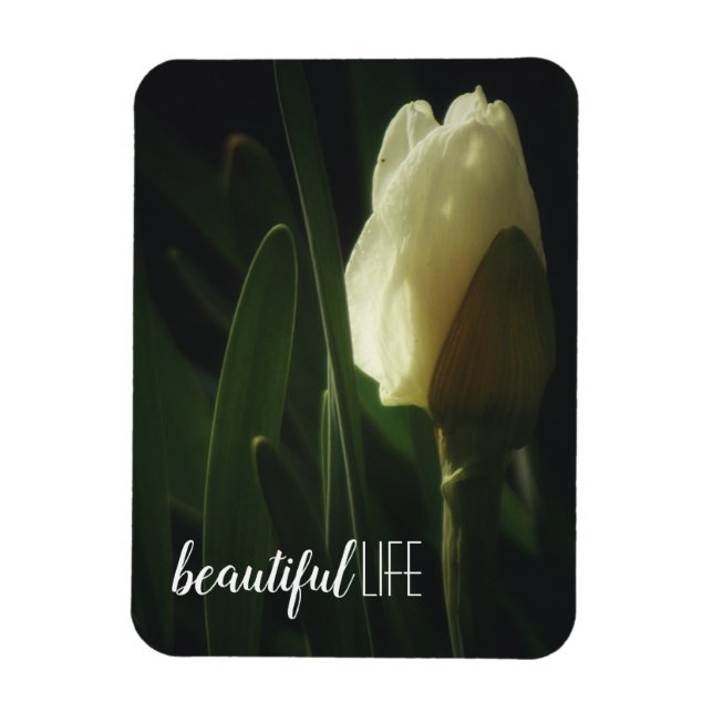 Beautiful Life Sprichwort Daffodil Fotografie Magnet (Vertikal)