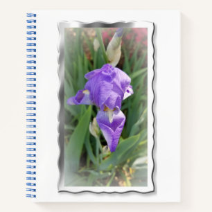 Beautiful Light Blue Iris Notizbuch