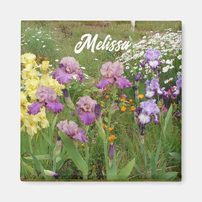 Beautiful Lila Iris Blume Blumengarten Magnet (Vorne)
