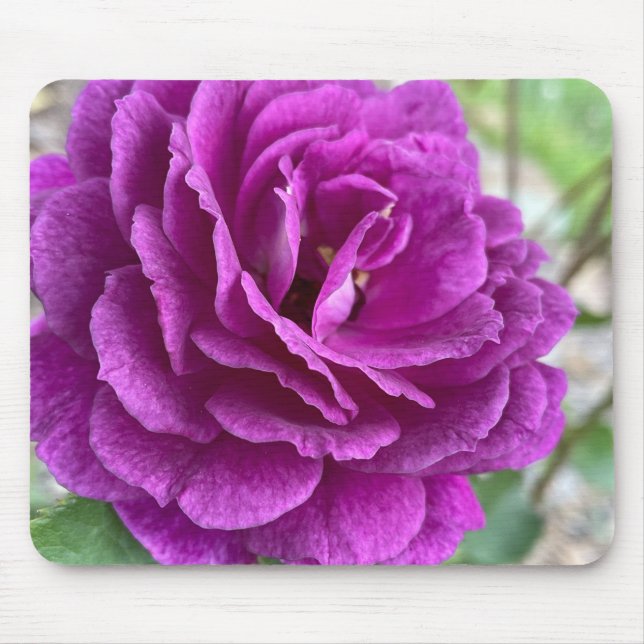 Beautiful Lila Lilac Rose Mouse Pad Mousepad (Vorne)