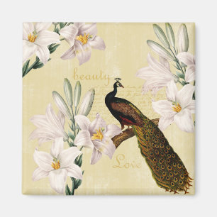 Beautiful Lilies Peacock Magnet