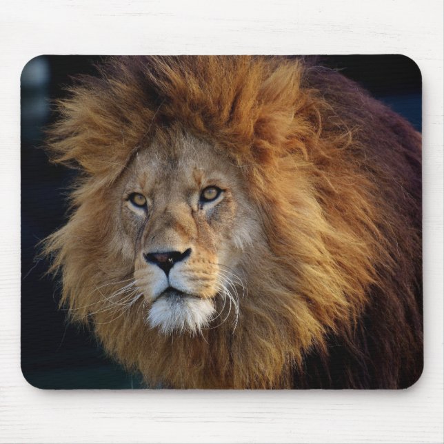 Beautiful Lion Mouse Mat Mousepad (Vorne)