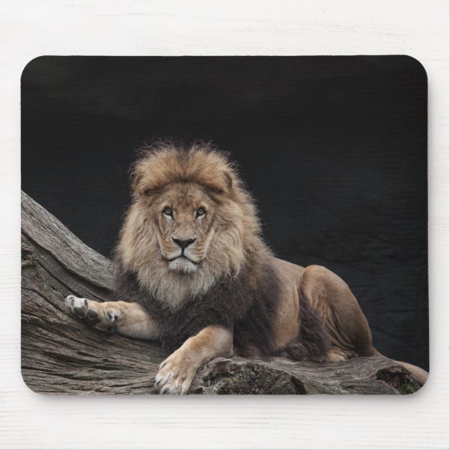Beautiful Lion Mousepad (Vorne)