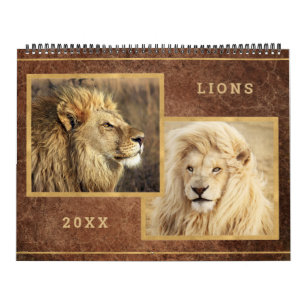 Beautiful Lions Foto Image Calendar Kalender