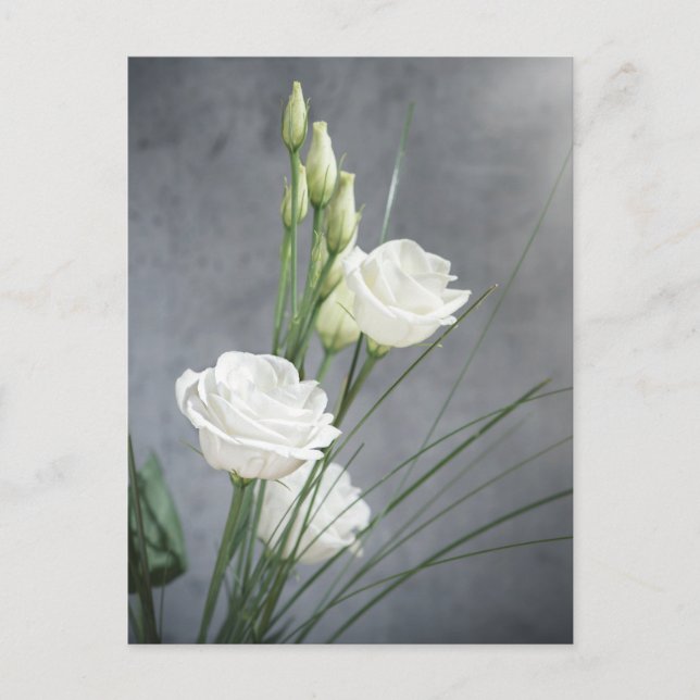 Beautiful Lisianthus White Blume Postcard Postkarte (Vorderseite)