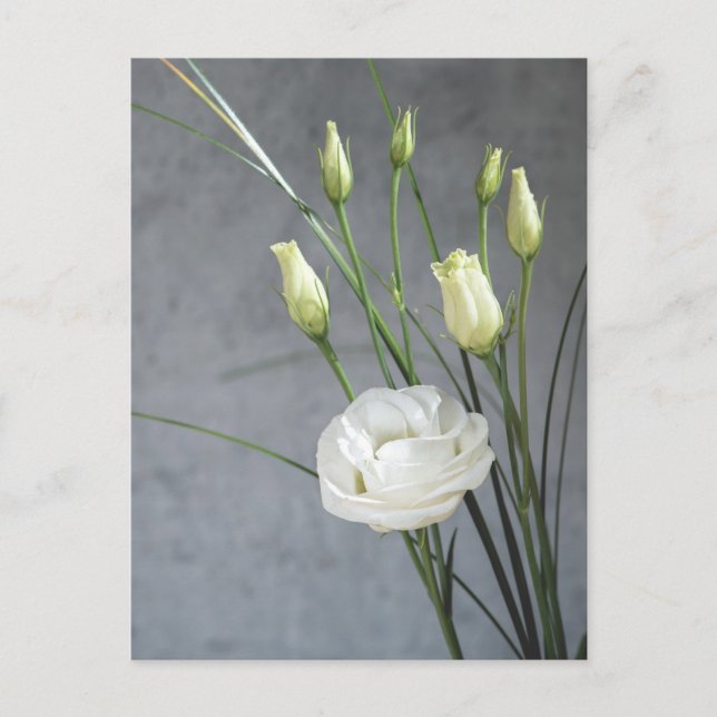 Beautiful Lisianthus White Blume Postkarte (Vorderseite)