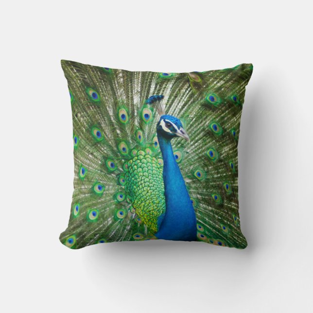 Beautiful Male Peacock Cushion Kissen (Vorderseite)