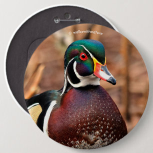 Beautiful Male Wood Duck in the Woods Button