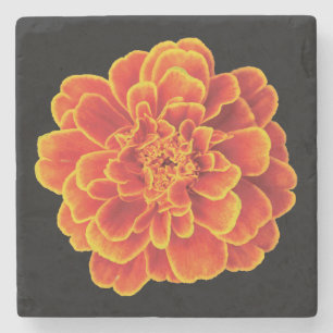 Beautiful Marigold Stone Untersetzer