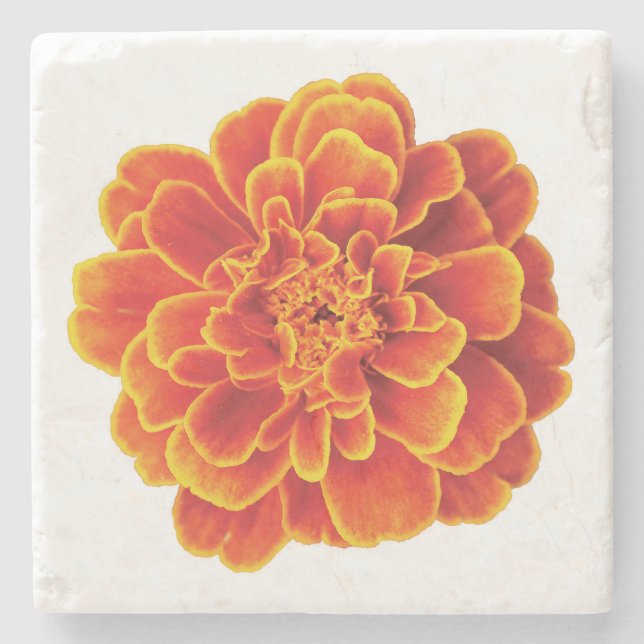 Beautiful Marigold Stone Untersetzer (Vorderseite)