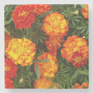 Beautiful Marigolds Stone Untersetzer