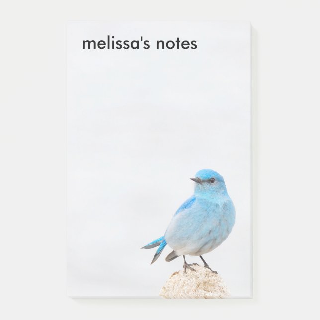 Beautiful Mountain Bluebird Post-it Klebezettel (Vorderseite)