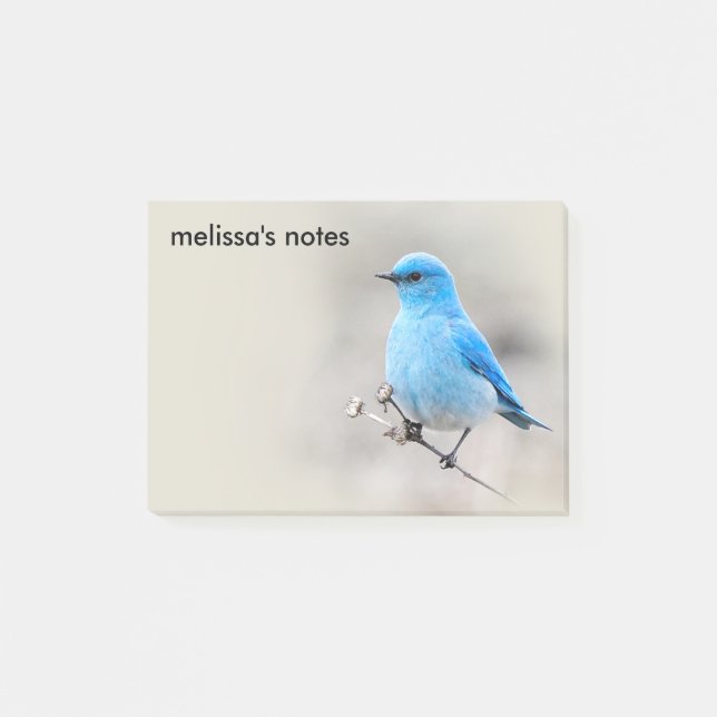 Beautiful Mountain Bluebird Post-it Klebezettel (Vorderseite)