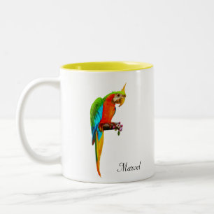 Beautiful Multicolored Macaw Bird Zweifarbige Tasse