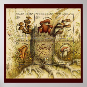 Beautiful Mushroom Briefmarke ~ Toadstool Ukraine Poster