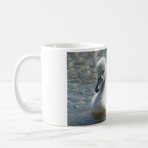 Beautiful Mute Swan Duckling Kaffeetasse