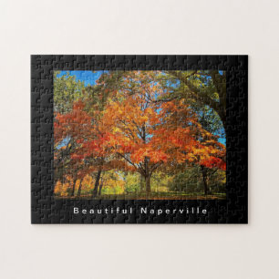Beautiful Naperville - Herbstblätter Puzzle
