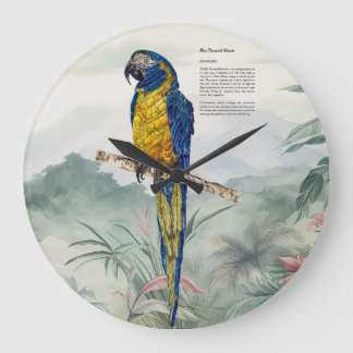 Beautiful nature inspired Endangered Macaw Große Wanduhr
