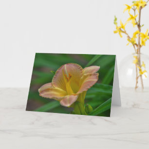 Beautiful Orange Gold Liege Blume Art-Hinweis Karte