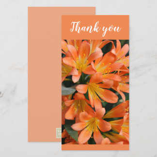 Beautiful Orange Kaffir Lily Blume Dankeskarte