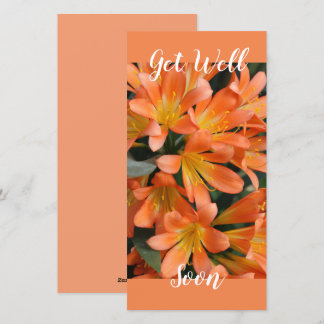 Beautiful Orange Kaffir Lily Blume Feiertagskarte