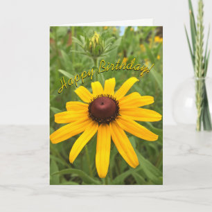Beautiful Orange Rudbeckia Blume Template Karte