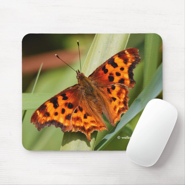 Beautiful Orange Satyr Comma Butterfly Mousepad (Mit Mouse)
