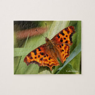 Beautiful Orange Satyr Comma Butterfly Puzzle