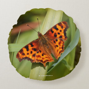 Beautiful Orange Satyr Comma Butterfly Rundes Kissen