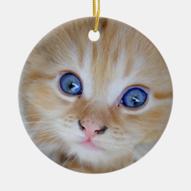 Beautiful Orange Tabby Kitten Keramikornament (Vorne)
