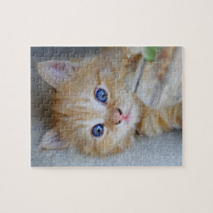Beautiful Orange Tabby Kitten Puzzle