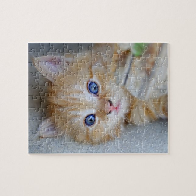 Beautiful Orange Tabby Kitten Puzzle (Horizontal)
