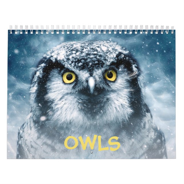 Beautiful Owls Elegante Mauer Kalender (Titelbild)