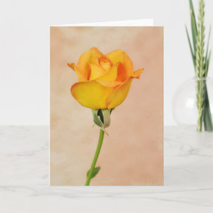 Beautiful Peach Yellow Orange Rose Art Note Card Karte