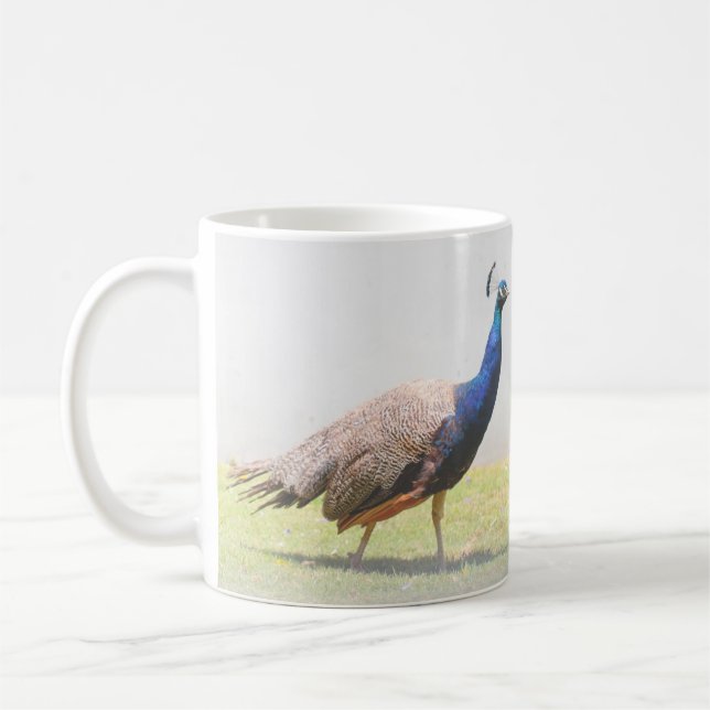 Beautiful Peacock Bird Birds Kaffeetasse (Links)